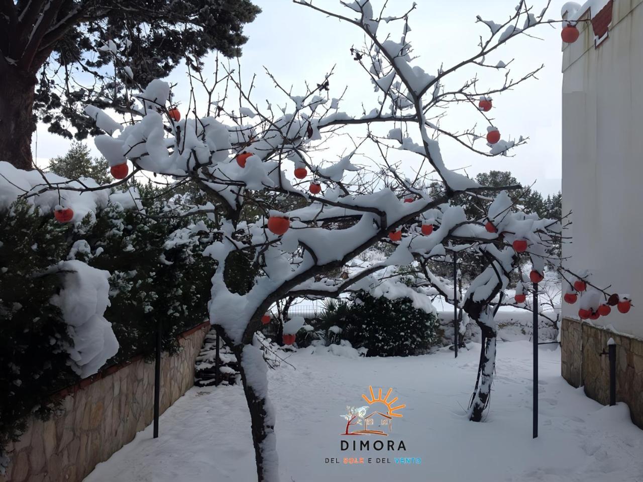 Dimora Del Sole E Del Vento Apartment Crispiano ภายนอก รูปภาพ
